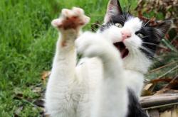 开云下载-抢七之夜的节拍器，西亚卡姆如何以无声的鼓点引领全队