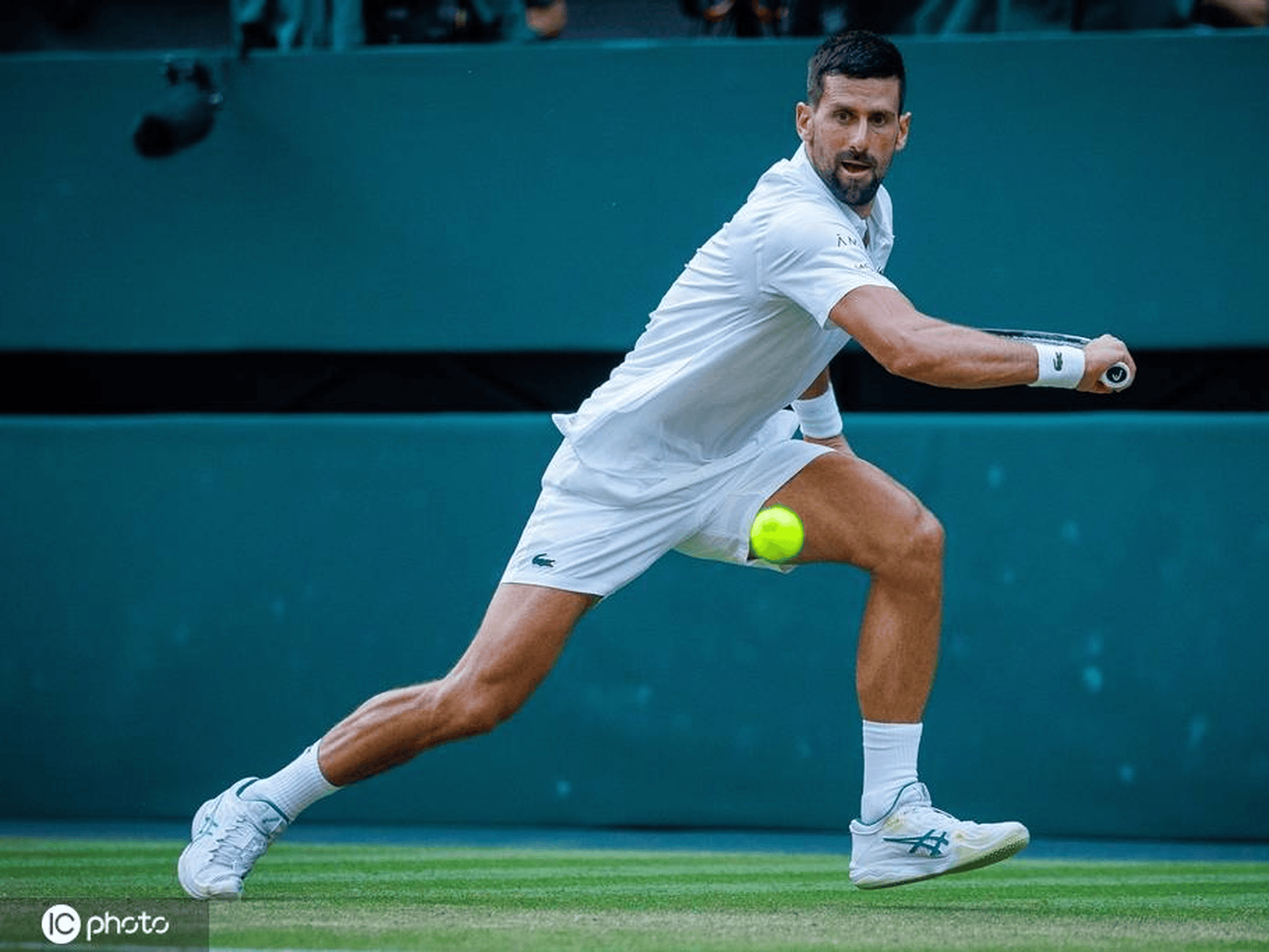 英国网球队完胜德国网球队，德约科维奇制霸全场的简单介绍