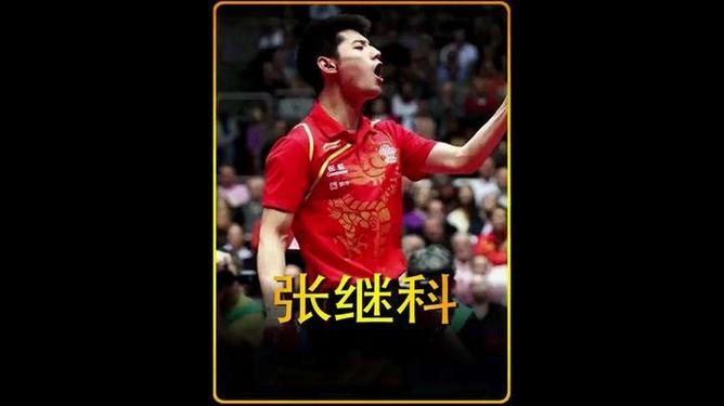 法国乒乓球队鏖战中国乒乓球队，张继科制霸全场的简单介绍