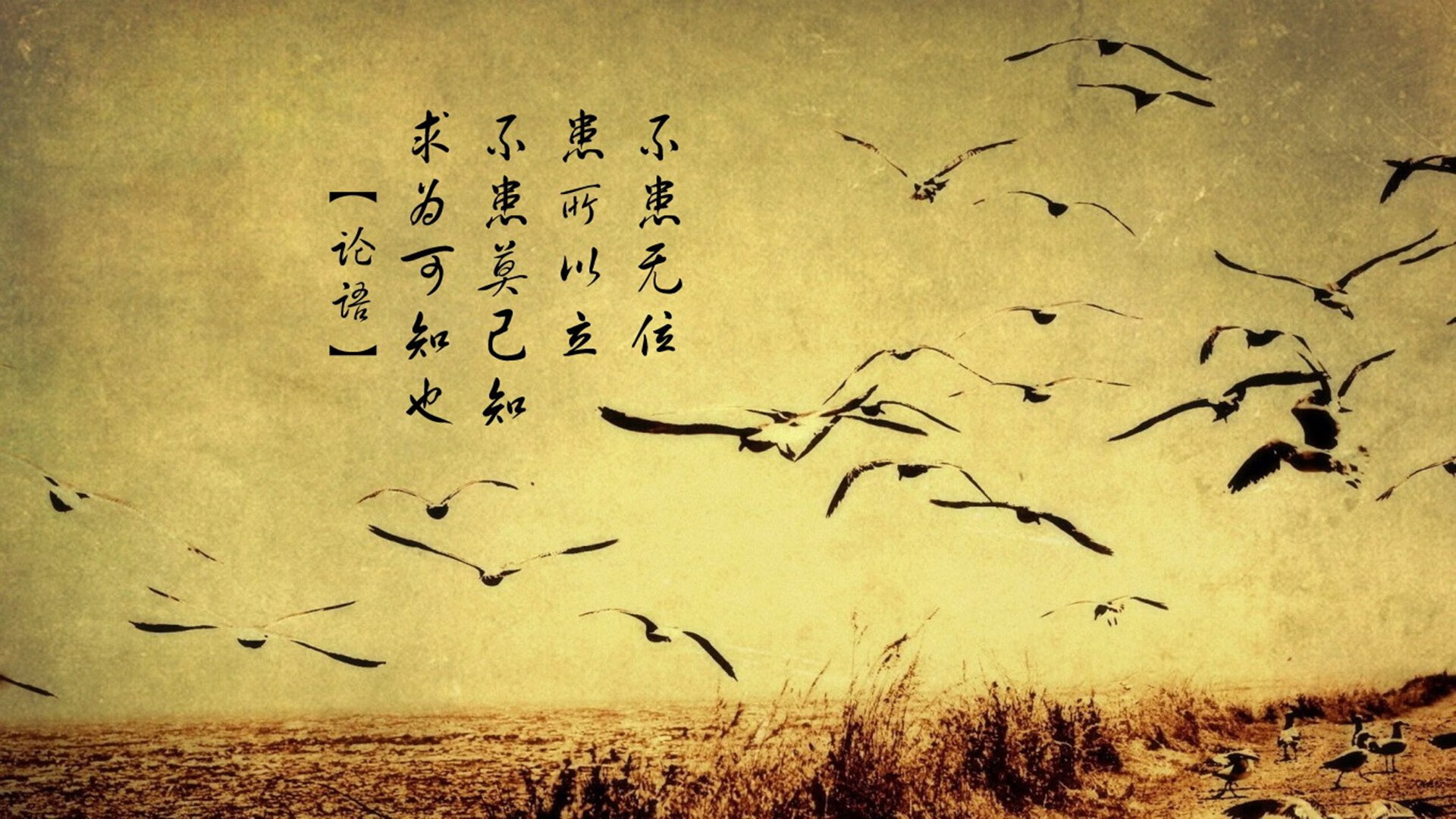 德甲争冠战与澳洲硬仗，阿森纳的战术启示与多线作战的现代足球挑战