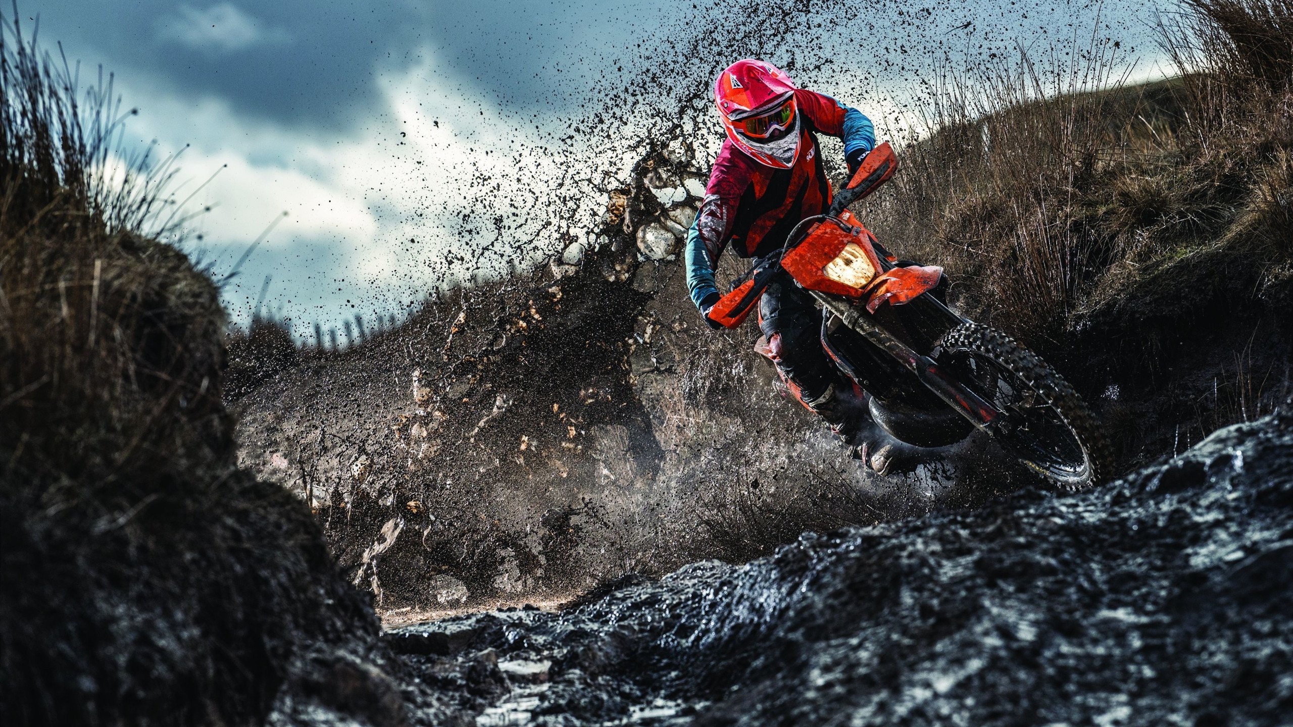 西决生死战焦点战，上海队单节拉开火箭